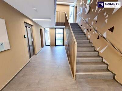 Eigentumswohnung in 2391 Kaltenleutgeben (Bild 4)