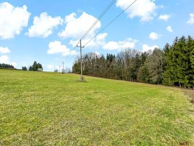 Grundstück kaufen in 7572 Deutsch Kaltenbrunn (Bild 3)