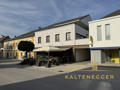 Anlageobjekt kaufen in 3313 Wallsee (Bild 2)