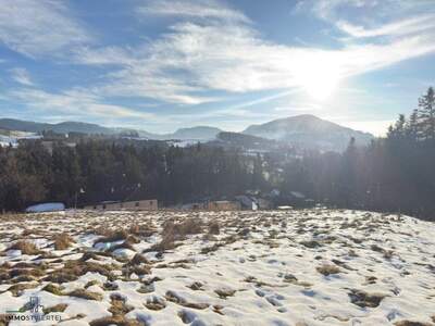 Grundstück kaufen in 3282 St. Georgen