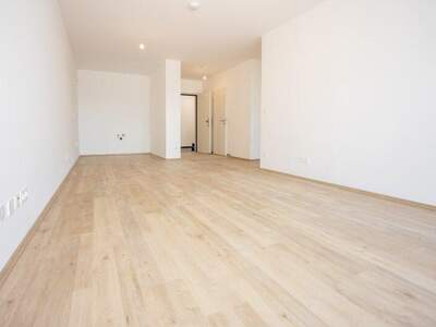 Terrassenwohnung kaufen in 2700 Wr. Neustadt (Bild 4)
