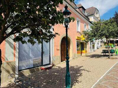 Haus kaufen in 3400 Klosterneuburg (Bild 2)