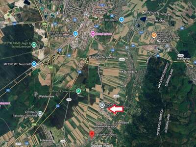 Grundstück kaufen in 2821 Frohsdorf