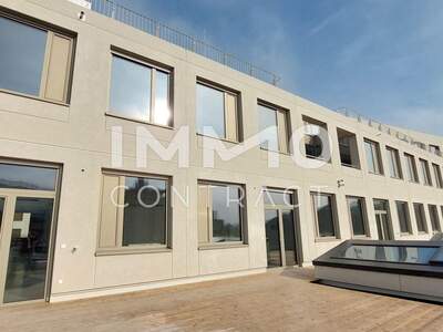 Gewerbeobjekt mieten in 1230 Wien (Bild 1)