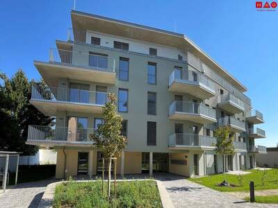 Wohnung mieten in 8055 Graz
