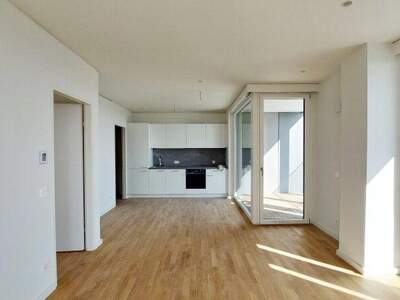 Terrassenwohnung mieten in 1220 Wien (Bild 3)