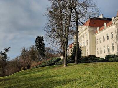 Apartment provisionsfrei mieten in 1160 Wien
