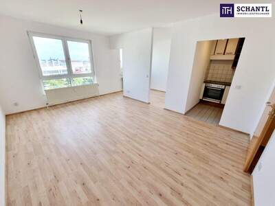 Wohnung kaufen in 1100 Wien (Bild 3)