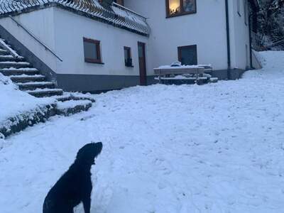 Haus mit Garten kaufen in 9811 Lendorf (Bild 3)