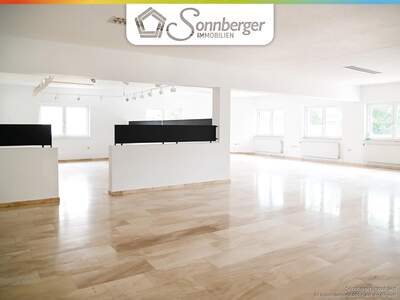 Büro / Praxis mieten in 4470 Enns (Bild 2)