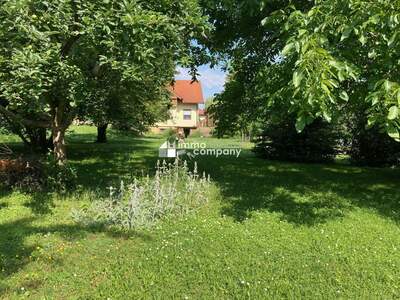 Haus mit Garten kaufen in 2473 Potzneusiedl