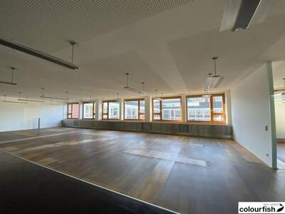 Gewerbeobjekt mieten in 1010 Wien (Bild 4)