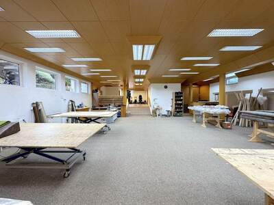 Gewerbeobjekt mieten in 6060 Hall (Bild 5)