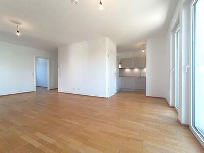 Terrassenwohnung kaufen in 1100 Wien (Bild 3)