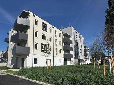 Wohnung mieten in 2700 Wiener Neustadt