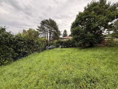 Grundstück kaufen in 2384 Breitenfurt (Bild 3)