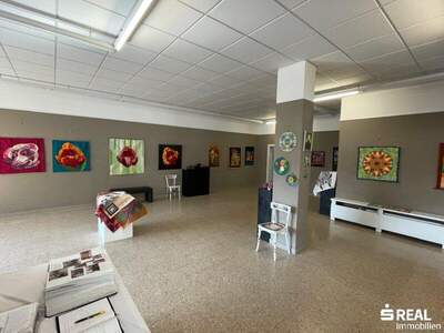 Wohnanlage kaufen in 9821 Obervellach (Bild 1)