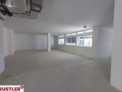 Gewerbeobjekt mieten in 1130 Wien (Bild 4)