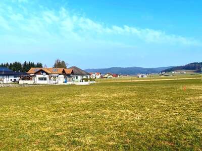 Grundstück kaufen in 5231 Schalchen