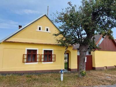 Haus kaufen in 7302 Kroatisch Minihof