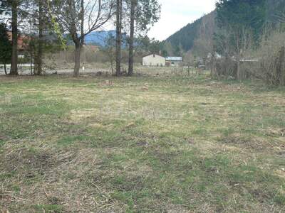 Grundstück kaufen in 8692 Neuberg