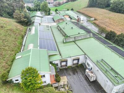 Gewerbeobjekt mieten in 8353 Kapfenstein (Bild 2)