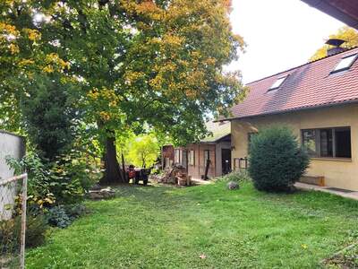 Einfamilienhaus kaufen in 3704 Großwetzdorf (Bild 3)