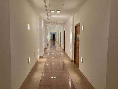 Gewerbeobjekt mieten in 1010 Wien (Bild 5)