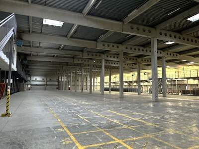 Gewerbeobjekt mieten in 2351 Wiener Neudorf (Bild 3)