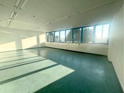Büro / Praxis mieten in 2351 Wr. Neudorf (Bild 2)