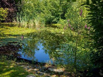 Einfamilienhaus kaufen in 2551 Enzesfeld (Bild 2)