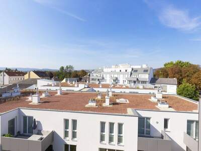 Wohnung mieten in 2100 Korneuburg