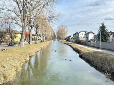 Grundstück kaufen in 2700 Wiener Neustadt