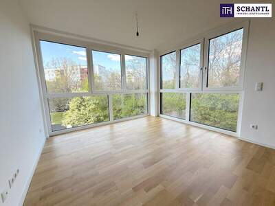 Terrassenwohnung kaufen in 1220 Wien (Bild 3)