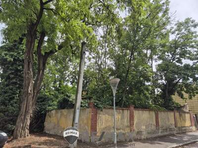 Grundstück kaufen in 2301 Groß (Bild 3)