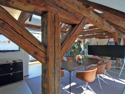 Gewerbeobjekt mieten in 1130 Wien (Bild 4)