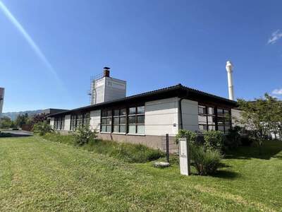 Gewerbeobjekt kaufen in 6890 Lustenau