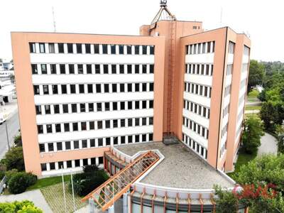 Gewerbeobjekt mieten in 1210 Wien (Bild 2)