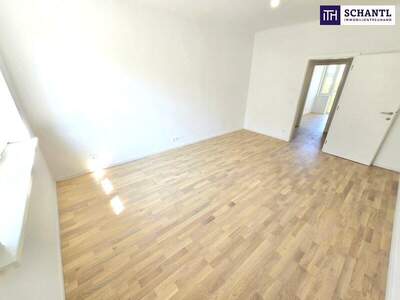 Terrassenwohnung kaufen in 1180 Wien (Bild 4)