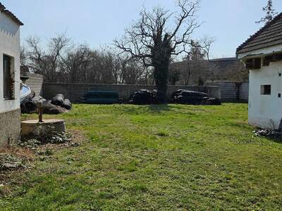 Haus mit Garten kaufen in 7142 Illmitz (Bild 1)