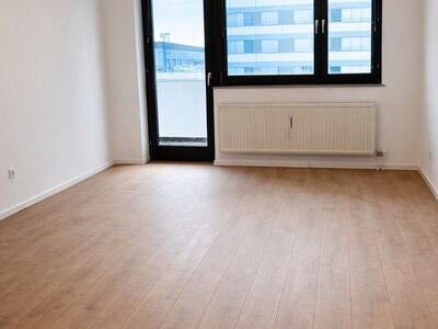 Terrassenwohnung mieten in 3500 Krems (Bild 2)