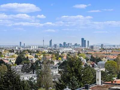 Wohnung kaufen in 1190 Wien