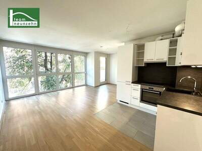 Terrassenwohnung mieten in 1200 Wien (Bild 1)