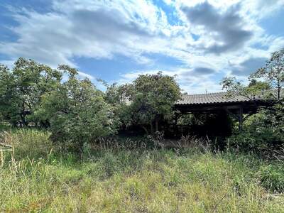 Grundstück kaufen in 3710 Ziersdorf