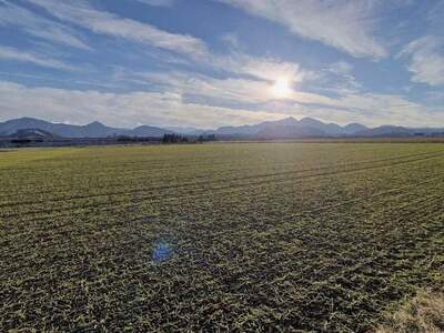 Grundstück kaufen in 9125 Kühnsdorf