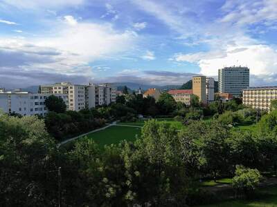 Wohnung provisionsfrei mieten in 8020 Graz