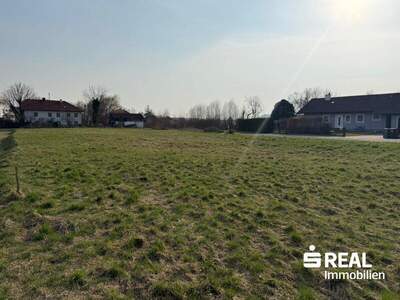 Grundstück kaufen in 4070 Pupping (Bild 4)