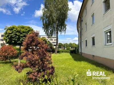 Wohnung kaufen in 4020 Linz (Bild 2)