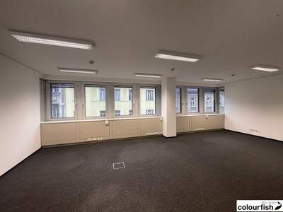 Gewerbeobjekt mieten in 1050 Wien (Bild 4)