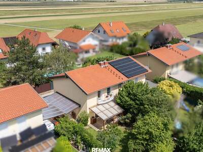 Haus kaufen in 2525 Günselsdorf (Bild 3)